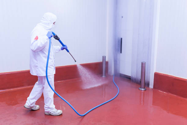 Pre-Holiday Cleaning in Atascadero, CA