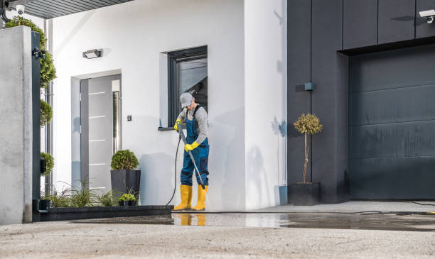 Best Graffiti Removal  in Atasdero, CA